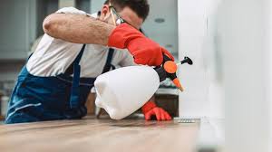 Best Pest Exclusion Services  in Garyville, LA